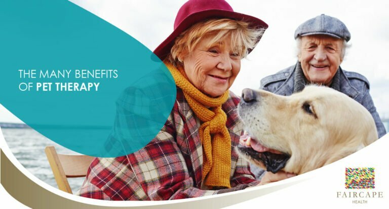 Discover the benefits of Pet Therapy