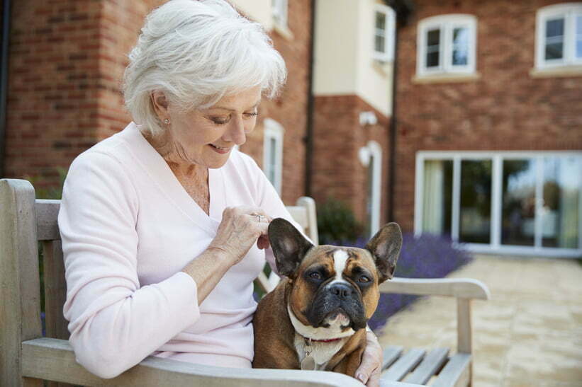 Pet therapy is helpful as part of respite care at Faircape Health.